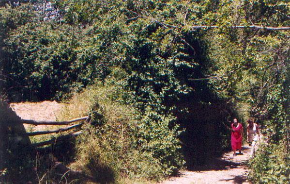El Risco Del Lomero, Alberca 4 Huesp Max Valdelarco Buitenkant foto